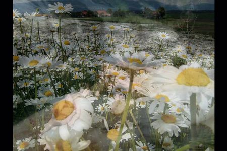 Philipp Keels neuer Fotoband Last Summer ist wie ein Geschenk an den Sommer
