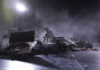 Murray auf dem Festival From Black Swans to Earthquakes