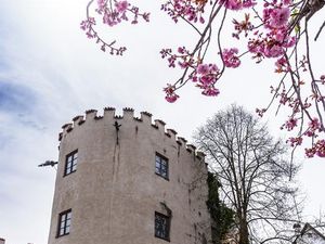 Der Seilerturm in der Stadtmauer von Füssen/Allgäu ist der perfekte Ausgangspunkt für Spaziergänge durch den Kurort mit seinen Kneipp-Infotafeln, aufgestellt im Zuge des EU-Projekts Lebensspur Lech Der Seilerturm in der Stadtmauer von Füssen/Allgäu ist der perfekte Ausgangspunkt für Spaziergänge durch den Kurort mit seinen Kneipp-Infotafeln, aufgestellt im Zuge des EU-Projekts Lebensspur Lech