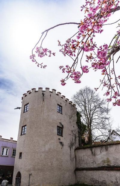 Der Seilerturm in der Stadtmauer von Füssen/Allgäu ist der perfekte Ausgangspunkt für Spaziergänge durch den Kurort mit seinen Kneipp-Infotafeln, aufgestellt im Zuge des EU-Projekts Lebensspur Lech