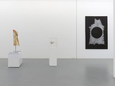 Brian Jungen werkschau kunstverein