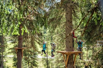 Wie Tarzan in Tirol – der Hoch- und Niederseilgarten im Verwalltal von St. Anton am Arlberg umfasst 22 Kletterstationen in bis zu zwölf Metern Höhe