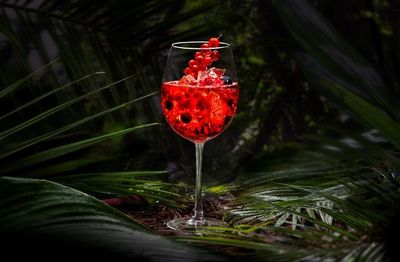 Pussanga Wild Berry - Sommercocktail mit Granatapfel