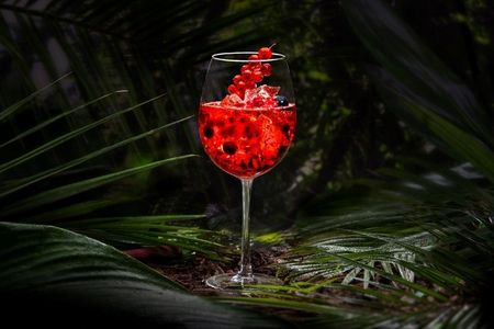 Pussanga Wild Berry - Sommercocktail mit Granatapfel
