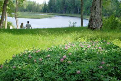 Am Fluss in Lettland Am Fluss in Lettland