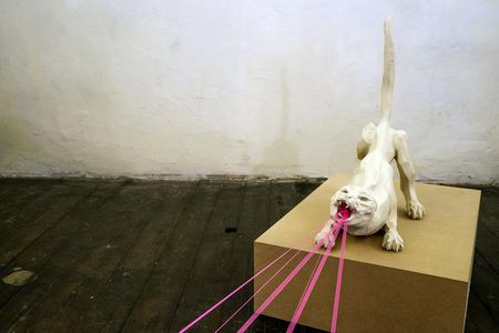 Anne Kueckelhaus portraitiert des Menschen liebste Gefaehrten
