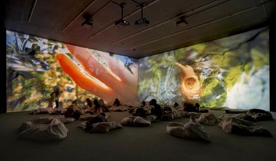 ausstellung hannover