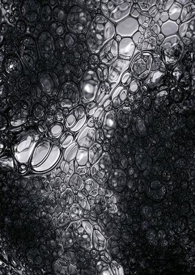 sandra kennel ausstellung