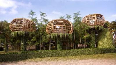 Zwischen Baumwipfeln dinieren Gaeste des Waldorf Astoria Maldives Ithaafushi in den Treepods des Restaurants Terra