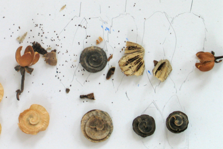 ausstellung duesseldorf