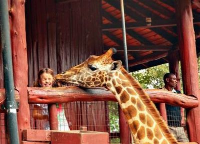 Mit Hauser Exkursionen besuchen Kinder und Erwachsene ein Giraffen-Center in Nairobi
