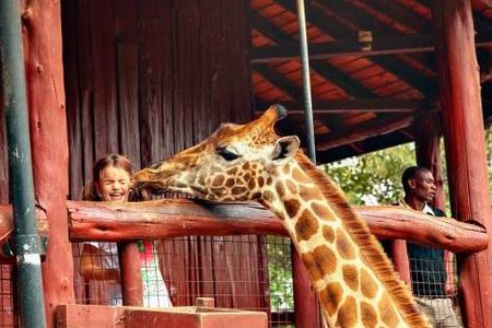Mit Hauser Exkursionen besuchen Kinder und Erwachsene ein Giraffen-Center in Nairobi
