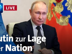 Schon 2014 haben wir geschrieben - wollen deutsche Kriegsliteraten und Journalisten Blut sehen? Schon 2014 haben wir geschrieben - wollen deutsche Kriegsliteraten und Journalisten Blut sehen?