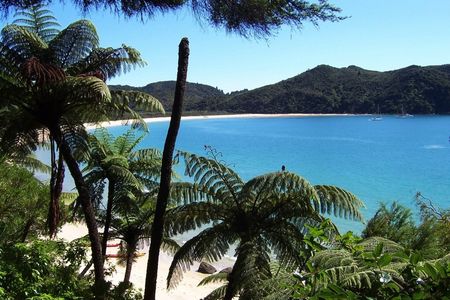 Reise nach Neuseeland Able Tasman National Park