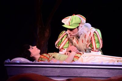 Schneewittchen und 7 zwerge theater rostock Schneewittchen und 7 zwerge theater rostock