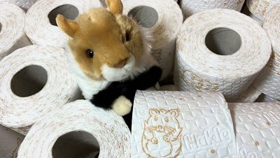 Suess - der kleine Hakle-Hamster fuer Panik-Kaeufer
