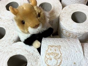Suess - der kleine Hakle-Hamster fuer Panik-Kaeufer Suess - der kleine Hakle-Hamster fuer Panik-Kaeufer