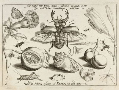 herzkammer ausstellung maak koeln herzkammer ausstellung maak koeln