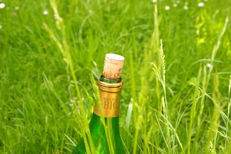 Best of Bio Wein Wiese
