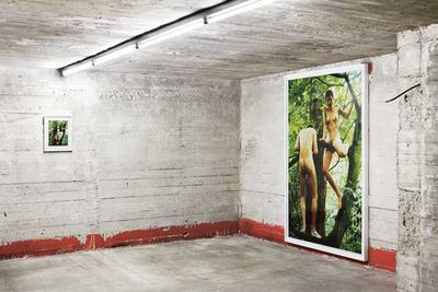 WOLFGANG TILLMANS