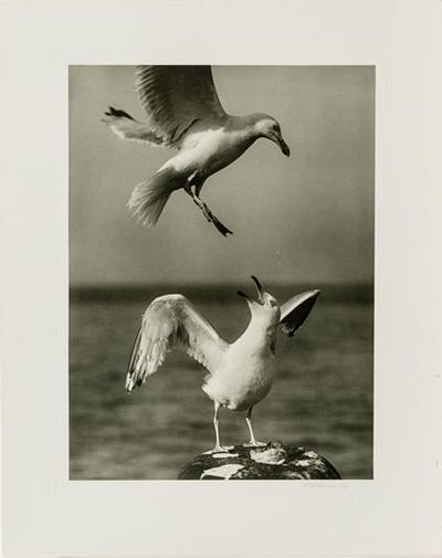 fotografie koeln