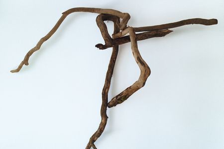 ausstellung wien