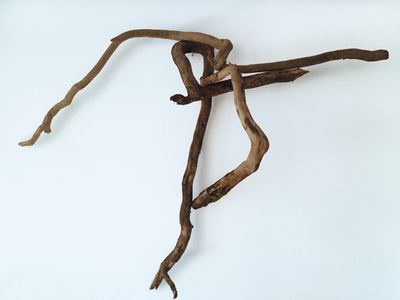 ausstellung wien