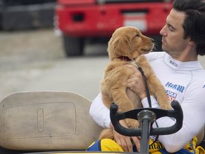 Eine Freundschaft mit seinem Besitzer Denny Swift , einem aufstrebenden Formel 1 Fahrer und seinem Hund Enzo Eine Freundschaft mit seinem Besitzer Denny Swift , einem aufstrebenden Formel 1 Fahrer und seinem Hund Enzo