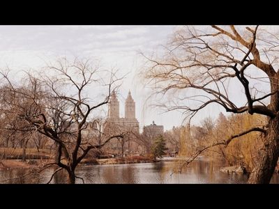 Central Park New York
