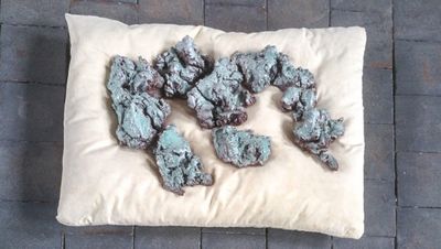 Installation von Celina Jure im Esszimmer Bonn