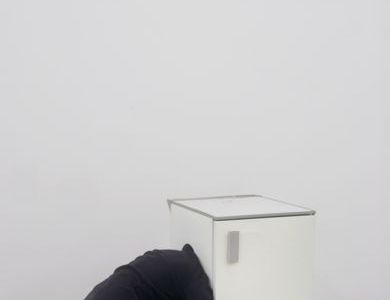 ausstellung kunsthalle muenster