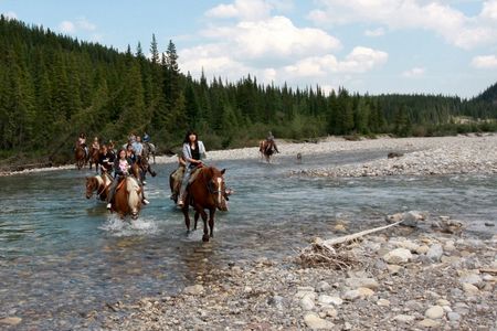 Horses Canada