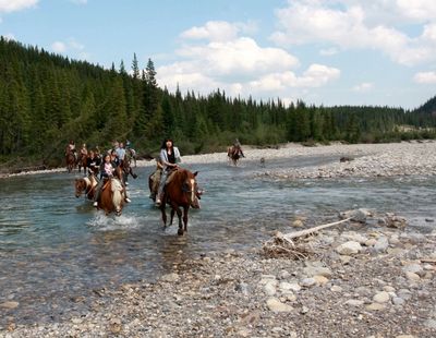 Horses Canada