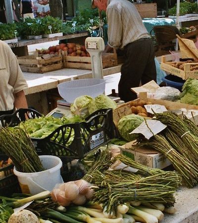 Viele Geschichten ranken sich um den wilden Spargel