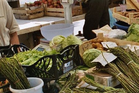 Viele Geschichten ranken sich um den wilden Spargel