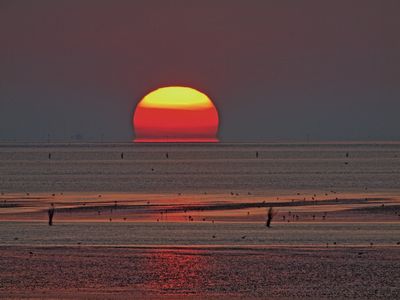Reisen Wattenmeer