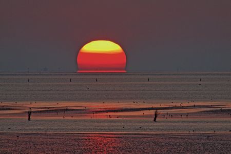 Reisen Wattenmeer