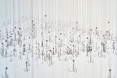 stadtgalerie natur ausstellung stadtgalerie natur ausstellung
