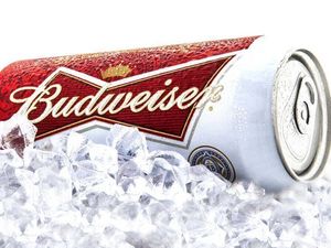 Budweiser ist Sponsor der Fifa-Weltmeisterschaft 2022 Budweiser ist Sponsor der Fifa-Weltmeisterschaft 2022