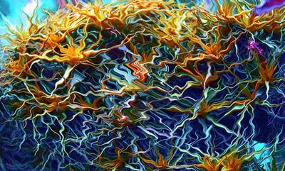 florale Fotokunst von Hans-Juergen Linden