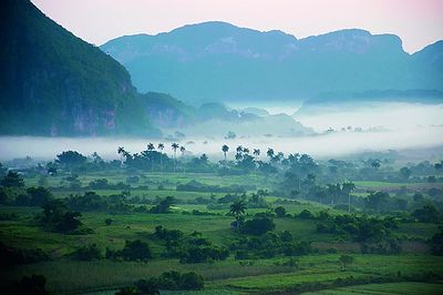 Vinales
