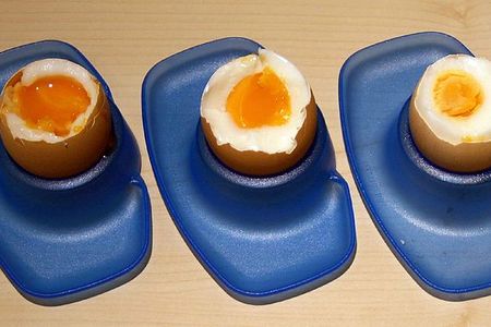 Kontrovers diskutiert: Was sollen wir noch essen? Pferdefleisch und faule Eier?
