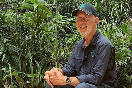 Trotz verheerender Waldbraende will RTL das Dschungelcamp nicht absagen und Dr. Bob wartet auf die Dschungelcamp-Gaeste