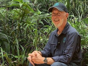 Trotz verheerender Waldbraende will RTL das Dschungelcamp nicht absagen und Dr. Bob wartet auf die Dschungelcamp-Gaeste
