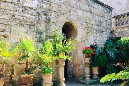 Ein gruenes Refugium inmitten der mallorquinischen Metropole erwartet Palma-Besucher nur wenige Fußminuten vom Hotel Cort in den Arabischen Baedern Banys Arabs
