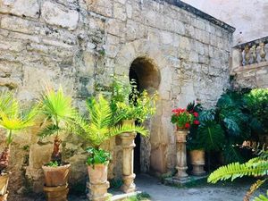 Ein gruenes Refugium inmitten der mallorquinischen Metropole erwartet Palma-Besucher nur wenige Fußminuten vom Hotel Cort in den Arabischen Baedern Banys Arabs Ein gruenes Refugium inmitten der mallorquinischen Metropole erwartet Palma-Besucher nur wenige Fußminuten vom Hotel Cort in den Arabischen Baedern Banys Arabs