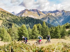 Die Mountainbike-Region Osttirol bietet unzählige Routen für jeden Schwierigkeitsgrad. Besonders die Touren rund um Österreichs höchsten Berg, den Großglockner, sind sowohl für Anfänger als auch Fortgeschrittene ein unvergessliches Erlebnis Die Mountainbike-Region Osttirol bietet unzählige Routen für jeden Schwierigkeitsgrad. Besonders die Touren rund um Österreichs höchsten Berg, den Großglockner, sind sowohl für Anfänger als auch Fortgeschrittene ein unvergessliches Erlebnis
