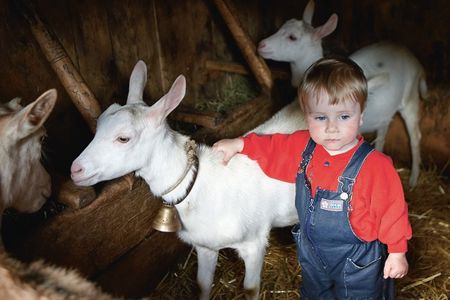 Kleiner Junge mit Ziege