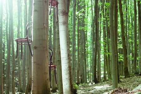 Stil TON Katalog im Wald