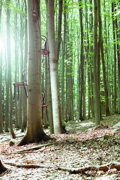 Stil TON Katalog im Wald